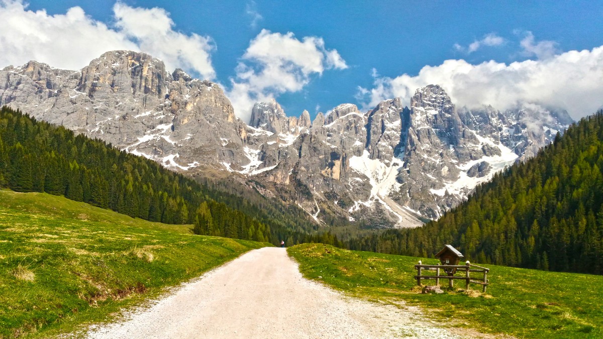 Fritters and Frolics - Italian Alps (July 2027)