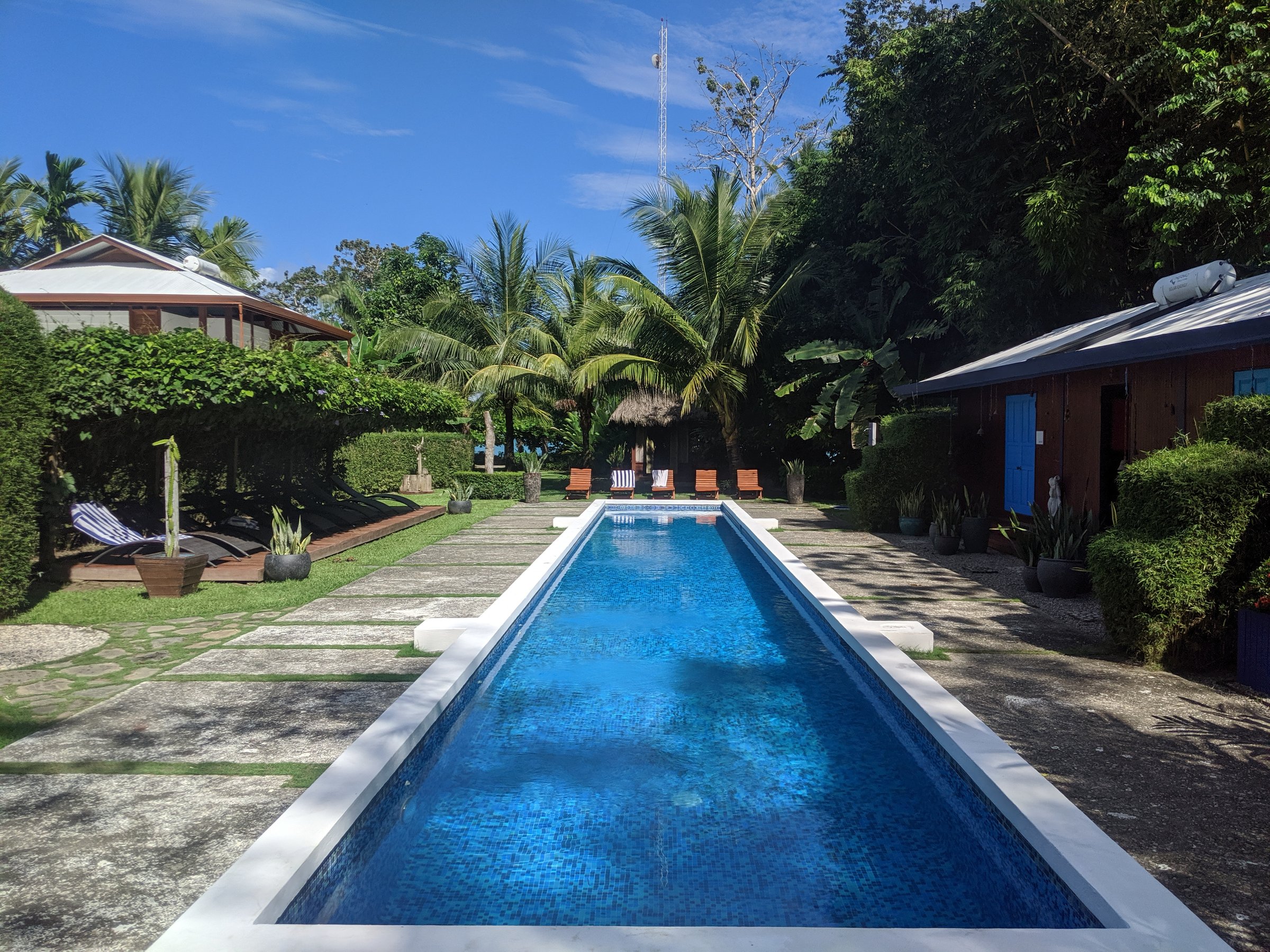 The long blue mosaic lap pool at Blue Osa stretches toward palm trees and clear sky, bordered by white stone, lounge chairs on a vine-shaded deck, blue-shuttered buildings, and tropical plantings with no people in view.