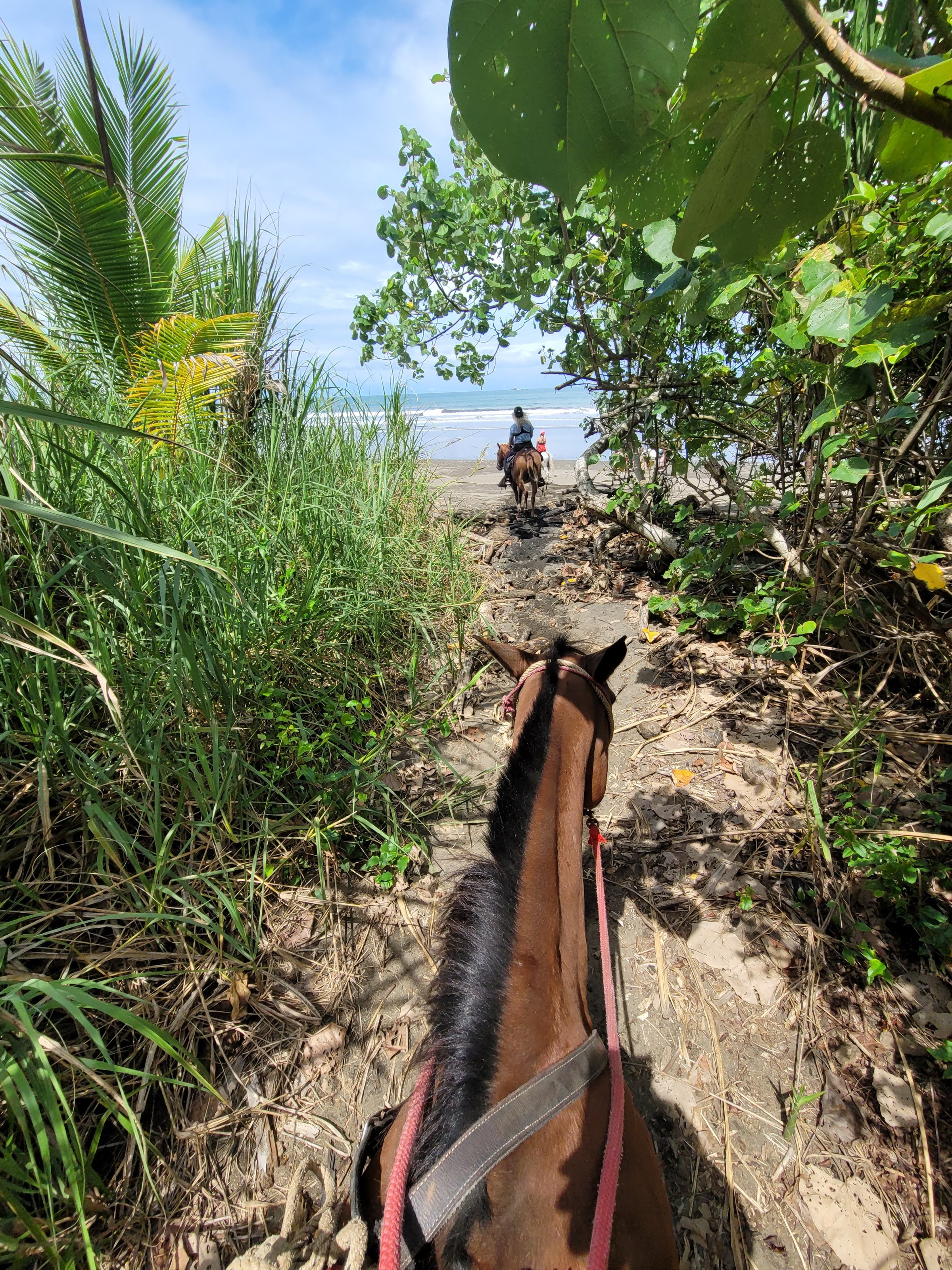 View from horseback down a narrow jungle trail toward another rider ahead where the path opens onto a sunny beach and blue ocean.