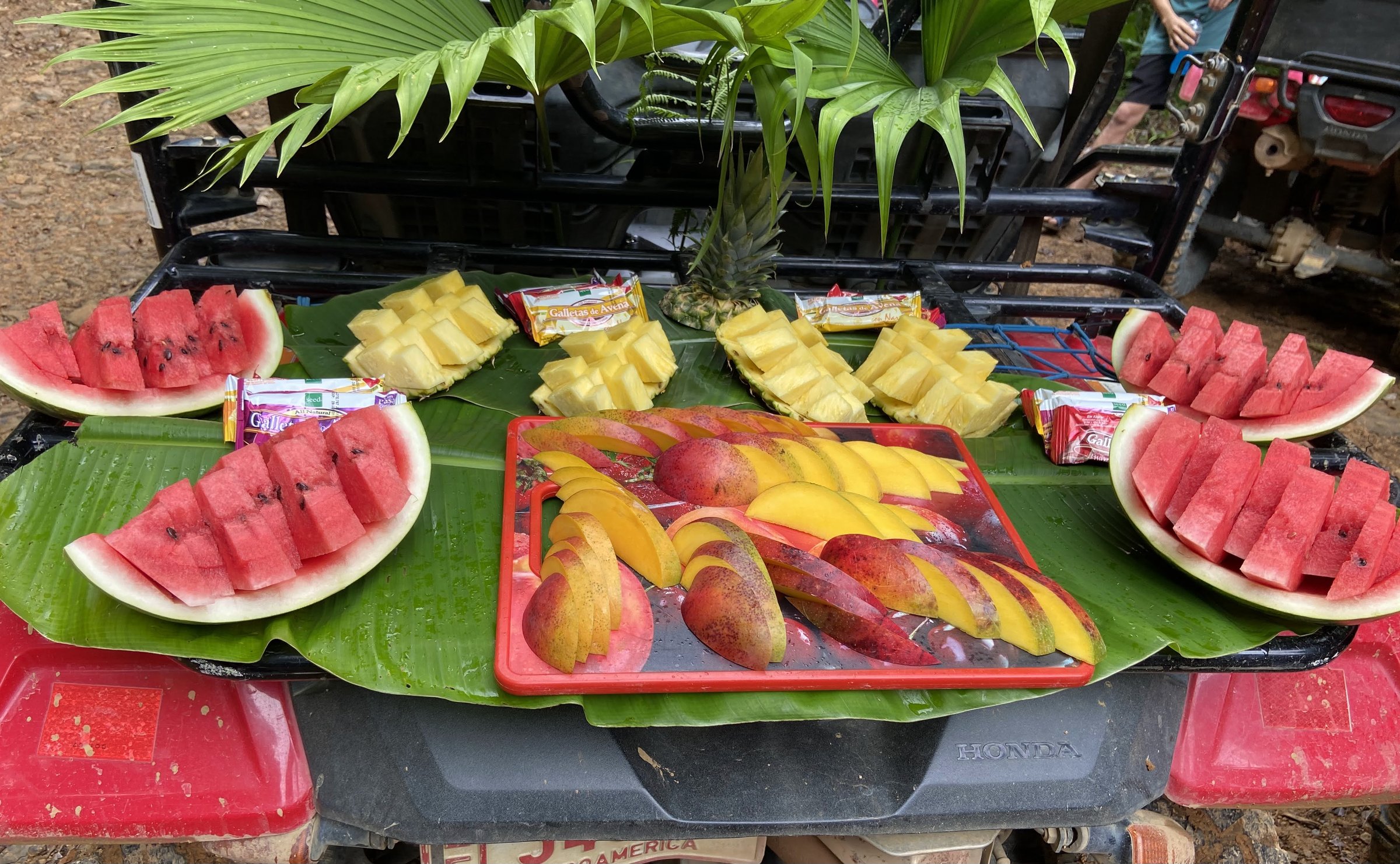 Sliced watermelon, mango, and pineapple arranged on green banana leaves on the rack of a red ATV during a jungle excursion.