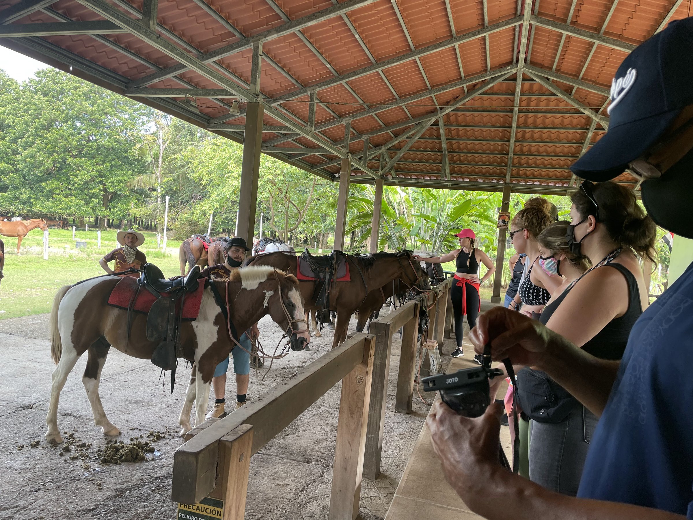 Saddled horses line a wooden hitching rail under a red-tiled ranch pavilion while guests and guides prepare for a ride in bright green countryside.