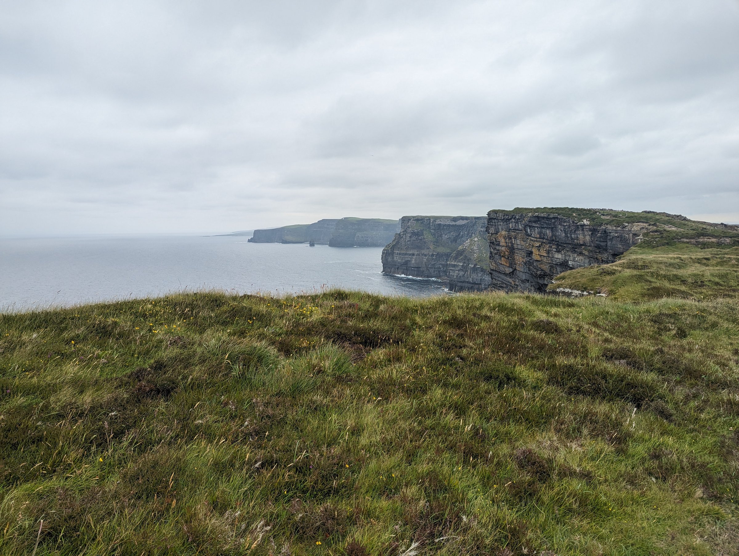 Wind-swept grass in the foreground leads to the dramatic Cliffs of Moher under an overcast sky.